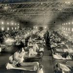 The 1918-1920 influenza pandemic in Kansas meme