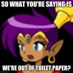 Shantae Questioning | SO WHAT YOU'RE SAYING IS; WE'RE OUT OF TOILET PAPER? | image tagged in shantae questioning | made w/ Imgflip meme maker