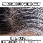 Gray hair roots | WE ARE ABOUT 3 WEEKS AWAY; FROM KNOWING EVERYONE’S TRUE HAIR COLOR | image tagged in gray hair roots,hair,quarantine,coronavirus,memes,women | made w/ Imgflip meme maker