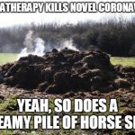 Steaming pile of shit | AROMATHERAPY KILLS NOVEL CORONAVIRUS; YEAH, SO DOES A STEAMY PILE OF HORSE SHIT | image tagged in steaming pile of shit | made w/ Imgflip meme maker