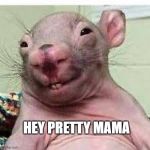 Hey Pretty Mama | HEY PRETTY MAMA | image tagged in hey pretty mama,funny,funny memes,memes,smile,weird | made w/ Imgflip meme maker