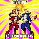 Lee bros mullet | HIGH FIVE; FOR EPIC MULLETS | image tagged in lee bros mullet | made w/ Imgflip meme maker