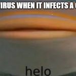 Fish Helo | CORONAVIRUS WHEN IT INFECTS A COUNTRY: | image tagged in fish helo | made w/ Imgflip meme maker