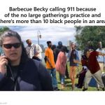 Barbeque Becky 911 More Than 10 Black People | Barbecue Becky calling 911 because of the no large gatherings practice and there's more than 10 black people in an area; COVELL BELLAMY III | image tagged in barbeque becky 911 more than 10 black people | made w/ Imgflip meme maker