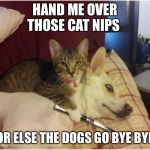 Warning killer cat | HAND ME OVER THOSE CAT NIPS; OR ELSE THE DOGS GO BYE BYE | image tagged in warning killer cat | made w/ Imgflip meme maker