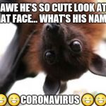 Bat birthday | AWE HE'S SO CUTE LOOK AT THAT FACE... WHAT'S HIS NAME? 😂😂CORONAVIRUS 😂😂 | image tagged in bat birthday | made w/ Imgflip meme maker