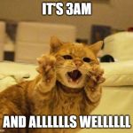 Cat PSA | IT'S 3AM; AND ALLLLLLS WELLLLLL | image tagged in cat psa | made w/ Imgflip meme maker