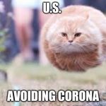 Hover Cat | U.S. AVOIDING CORONA | image tagged in hover cat | made w/ Imgflip meme maker