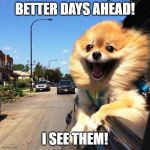 happy dog | BETTER DAYS AHEAD! I SEE THEM! | image tagged in happy dog | made w/ Imgflip meme maker