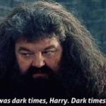 Hagrid dark times