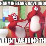 Charmin Bears | IF THE CHARMIN BEARS HAVE UNDERWEAR; WHY AREN’T WEARING THEM?! | image tagged in charmin bears | made w/ Imgflip meme maker