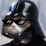 Cool darth Vader cat meme