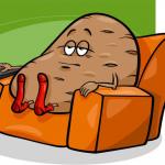 Potato couched