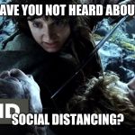 Frodo Baggins | HAVE YOU NOT HEARD ABOUT; SOCIAL DISTANCING? | image tagged in frodo baggins | made w/ Imgflip meme maker