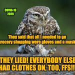 My kid's idea :-) gotta love her! | COVID-19 2020; They said that all I needed to go grocery shopping were gloves and a mask. THEY LIED! EVERYBODY ELSE HAD CLOTHES ON, TOO, FFS!!! | image tagged in burrowing owl not happy | made w/ Imgflip meme maker
