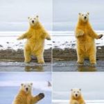 E Learning has entered the chat | ME WHEN I FIND OUT THAT SCHOOL IS CANCELED | image tagged in dancing polar bear,funny memes,school meme,polar bears,covid-19,wash your hands | made w/ Imgflip meme maker