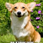 Maybe I need about 919,000 more points but I promise a finger reveal at 100,000 | I COULD; CorgiLove; DO A TRUE FACE REVEAL AT 1 MILLION (AND MAKE USE OUT OF IT) | image tagged in mischievous corgi,corgi,dogs,dog | made w/ Imgflip meme maker