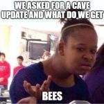 but why | WE ASKED FOR A CAVE UPDATE AND WHAT DO WE GET; BEES | image tagged in but why | made w/ Imgflip meme maker