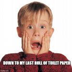 Home Alone Face | DOWN TO MY LAST ROLL OF TOILET PAPER | image tagged in home alone face | made w/ Imgflip meme maker