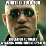 WHAT IF I TOLD YOU.... | WHAT IF I TOLD YOU; ISOLATION ACTUALLY WEAKENS YOUR IMMUNE SYSTEM | image tagged in what if i told you | made w/ Imgflip meme maker