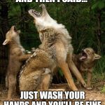 Boomer wolfs | AND THEN I SAID... JUST WASH YOUR HANDS AND YOU'LL BE FINE | image tagged in boomer wolfs | made w/ Imgflip meme maker