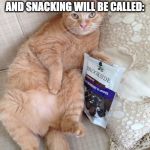 Snacking Cat | THE WEIGHT WE GAIN SITTING ON THE COUCH AND SNACKING WILL BE CALLED:; THE COVID 19. | image tagged in snacking cat | made w/ Imgflip meme maker