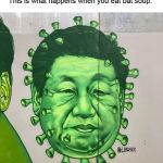 China Pox (Wuhan Pox) | This is what happens when you eat bat soup. | image tagged in china pox wuhan pox | made w/ Imgflip meme maker
