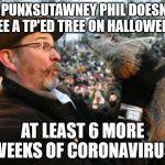 Legit accurate | IF PUNXSUTAWNEY PHIL DOESN'T SEE A TP'ED TREE ON HALLOWEEN; AT LEAST 6 MORE WEEKS OF CORONAVIRUS | image tagged in punxsutawney phil | made w/ Imgflip meme maker