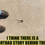 Toad mode | I THINK THERE IS A UNTOAD STORY BEHIND THIS | image tagged in forgcrete,funny,frog,memes,true story | made w/ Imgflip meme maker