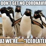 Funny punny | WE DON'T GET NO CORONAVIRUS; CUZ WE'RE......"ICEOLATED" | image tagged in memes,penguin gang,coronavirus | made w/ Imgflip meme maker