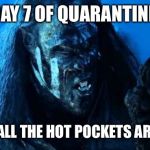 Quarantine | DAY 7 OF QUARANTINE; WHEN ALL THE HOT POCKETS ARE GONE | image tagged in quarantine | made w/ Imgflip meme maker