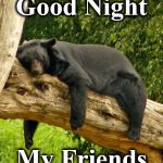 nicht | Good Night; My Friends | image tagged in nicht | made w/ Imgflip meme maker