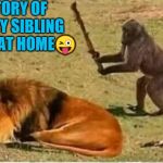 Monkey lion | STORY OF EVERY SIBLING FIGHT AT HOME😜 | image tagged in monkey lion | made w/ Imgflip meme maker