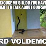 Snake Door | EXCUSE ME SIR, DO YOU HAVE A MOMENT TO TALK ABOUT OUR SAVIOUR; LORD VOLDEMORT | image tagged in snake door | made w/ Imgflip meme maker