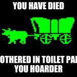 Toilet Paper Trail | YOU HAVE DIED; SMOTHERED IN TOILET PAPER
YOU HOARDER | image tagged in oregon trail,video games,coronavirus,hoarding | made w/ Imgflip meme maker