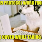 Working from home: My dog covers while I'm raiding the refrigerator and my productivity goes up 20%. Wait, what? | COVID-19 PROTOCOL WORK FROM HOME; HAS DOG COVER WHILE TAKING A BREAK | image tagged in dog computer,memes,coronavirus,work,social distancing,dog memes | made w/ Imgflip meme maker
