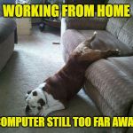 The laptop is just sooo far away. | WORKING FROM HOME; COMPUTER STILL TOO FAR AWAY | image tagged in lazy dog,memes,social distancing,work,coronavirus,workplace | made w/ Imgflip meme maker