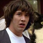 Confused Keanu and Cat