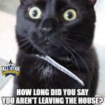 Woah Kitty Meme | HOW LONG DID YOU SAY YOU AREN'T LEAVING THE HOUSE? | image tagged in memes,woah kitty,cats,funny,quarantine | made w/ Imgflip meme maker
