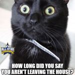 Woah Kitty | HOW LONG DID YOU SAY YOU AREN'T LEAVING THE HOUSE? | image tagged in memes,woah kitty,cats,funny,quarantine | made w/ Imgflip meme maker