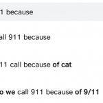 911 cat