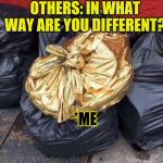 Golden Trash | OTHERS: IN WHAT WAY ARE YOU DIFFERENT? *ME | image tagged in golden trash | made w/ Imgflip meme maker