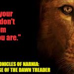 All of Us Have Purpose & Worth. | "You doubt your value; don't run from who you are."; - THE CHRONICLES OF NARNIA: THE VOYAGE OF THE DAWN TREADER | image tagged in aslan quite,memes,faith,hope,peace,depression | made w/ Imgflip meme maker