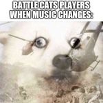 Vietnam dog | BATTLE CATS PLAYERS
WHEN MUSIC CHANGES: | image tagged in vietnam dog | made w/ Imgflip meme maker