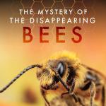 DISSAPEARING BEES