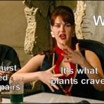 Idiocracy Plants Crave | Why? It's what plants crave. Androids must be created in identical pairs | image tagged in idiocracy plants crave | made w/ Imgflip meme maker