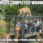 Sort it out! | THIS IS COMPLETELY WRONG! THERE ARE MORE THAN 2 PEOPLE INSIDE THIS CAGE. | image tagged in lion cage people,russia,social distancing,lockdown,streets,lions | made w/ Imgflip meme maker