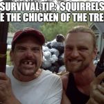 Survival tip | SURVIVAL TIP:  SQUIRRELS ARE THE CHICKEN OF THE TREES. | image tagged in rednecks,survival,food | made w/ Imgflip meme maker