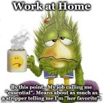 virus | Work at Home; By this point.. My job calling me "essential". Means about as much as a stripper telling me I'm "her favorite". | image tagged in virus | made w/ Imgflip meme maker