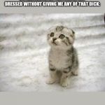 Sad Cat | ME WATCHING MY BOYFRIEND GET DRESSED WITHOUT GIVING ME ANY OF THAT DICK: | image tagged in memes,sad cat | made w/ Imgflip meme maker